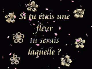 moi je ne se po